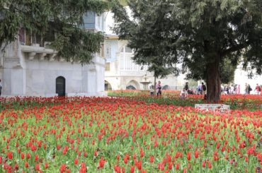 The grounds of Topkapi Palace in Istanbul