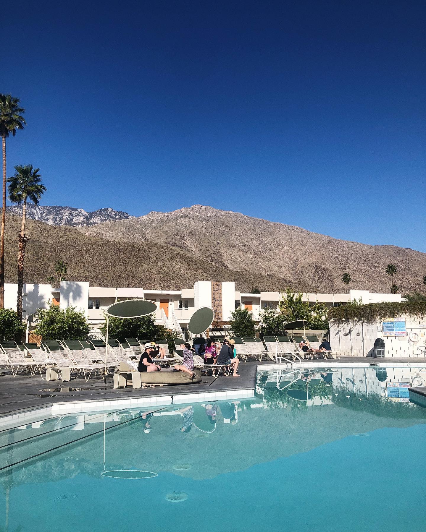 The @acehotelpalmsprings is still a desert💎 and one of the few more boutique-style stays in Palm Springs that allow kids. •
•
•
•
•
#familytravel #travelwithkids #thingsiwanttoremember #kidstravel #travelkids #familytrip #palmsprings